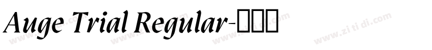Auge Trial Regular字体转换